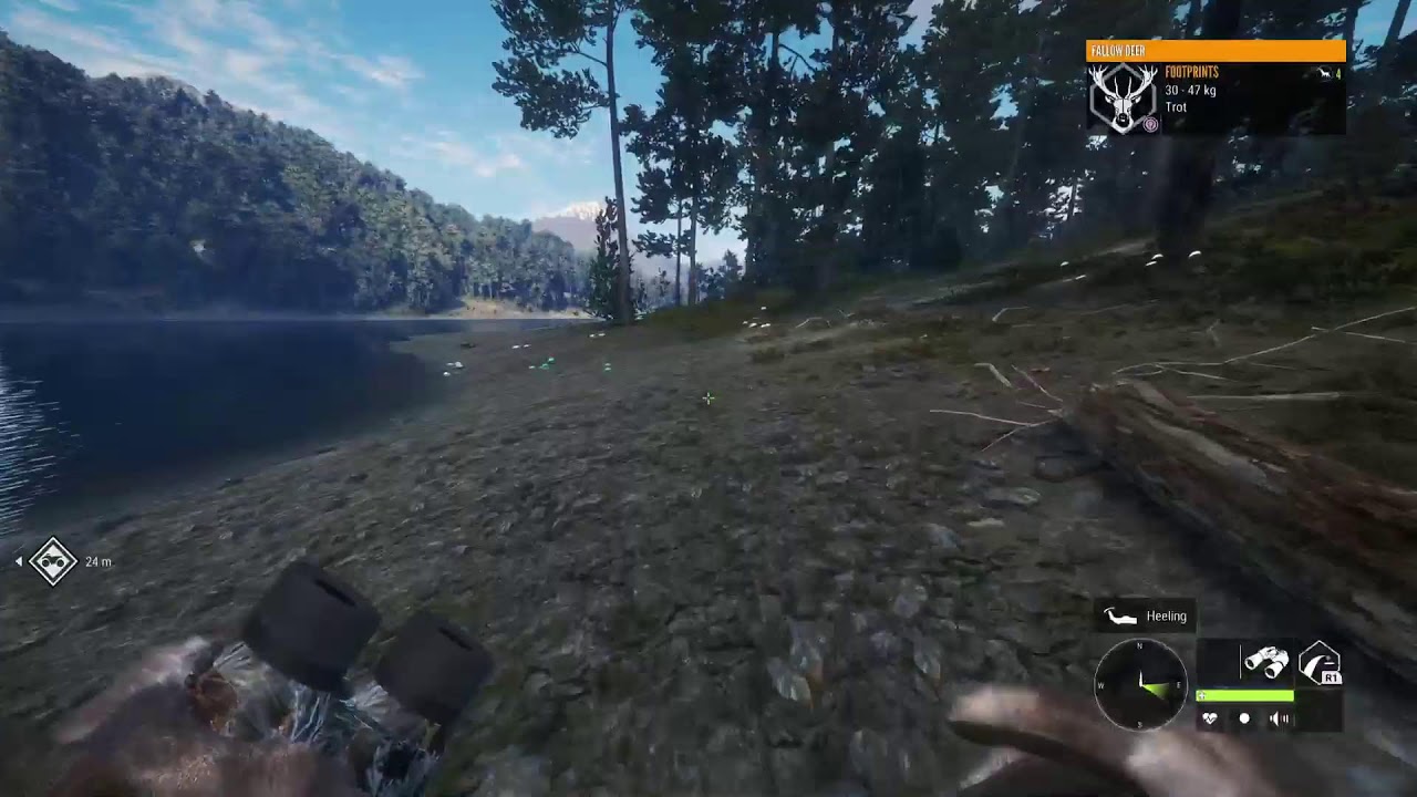 Grinding for the great one Whitetail, on New England, mountains, hunter called the wild.