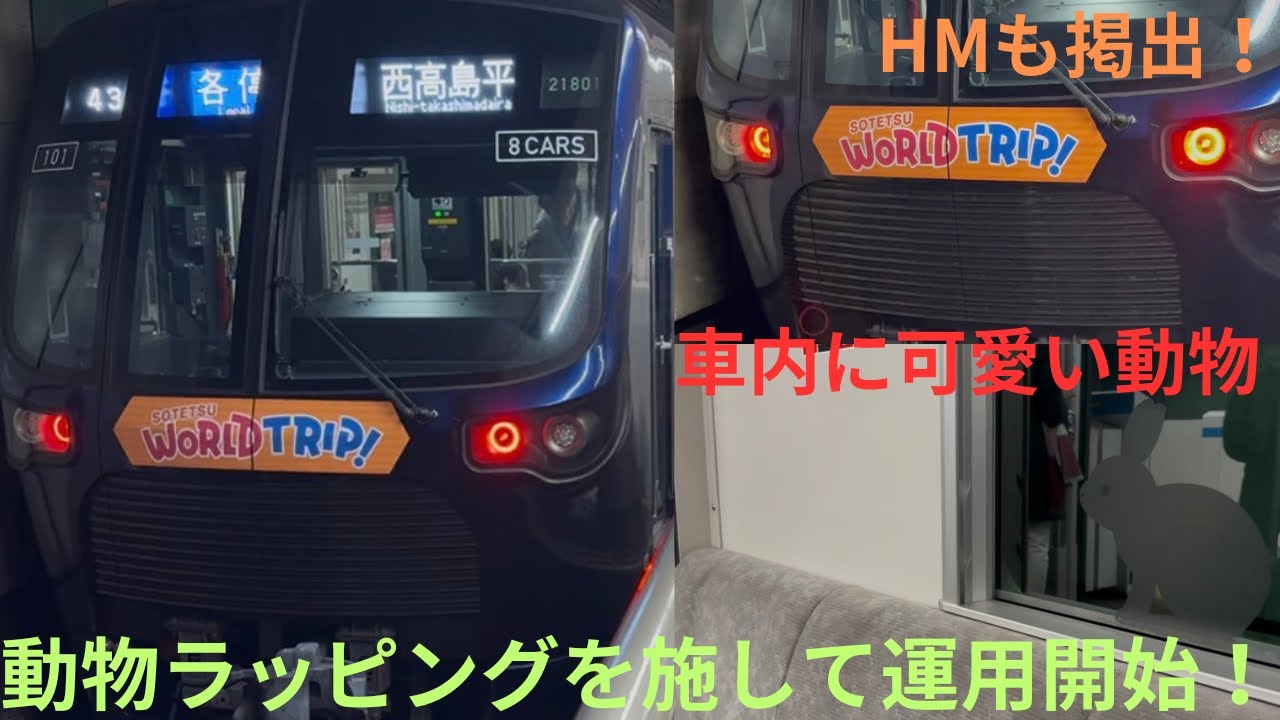 【相鉄21000系の車内に動物ラッピングを施して運行開始！】相鉄21000系 21101F 急行 西高島平行きで収録，前面にはHMを掲出、側面はラッピングなし