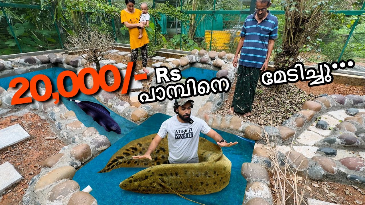 ഇതെന്നതാ.. ആഫ്രിക്കയിൽ നിന്ന് വന്ന അനകോണ്ട ആണോ? | Bought Two Exotic Fishes | Fishing Freaks