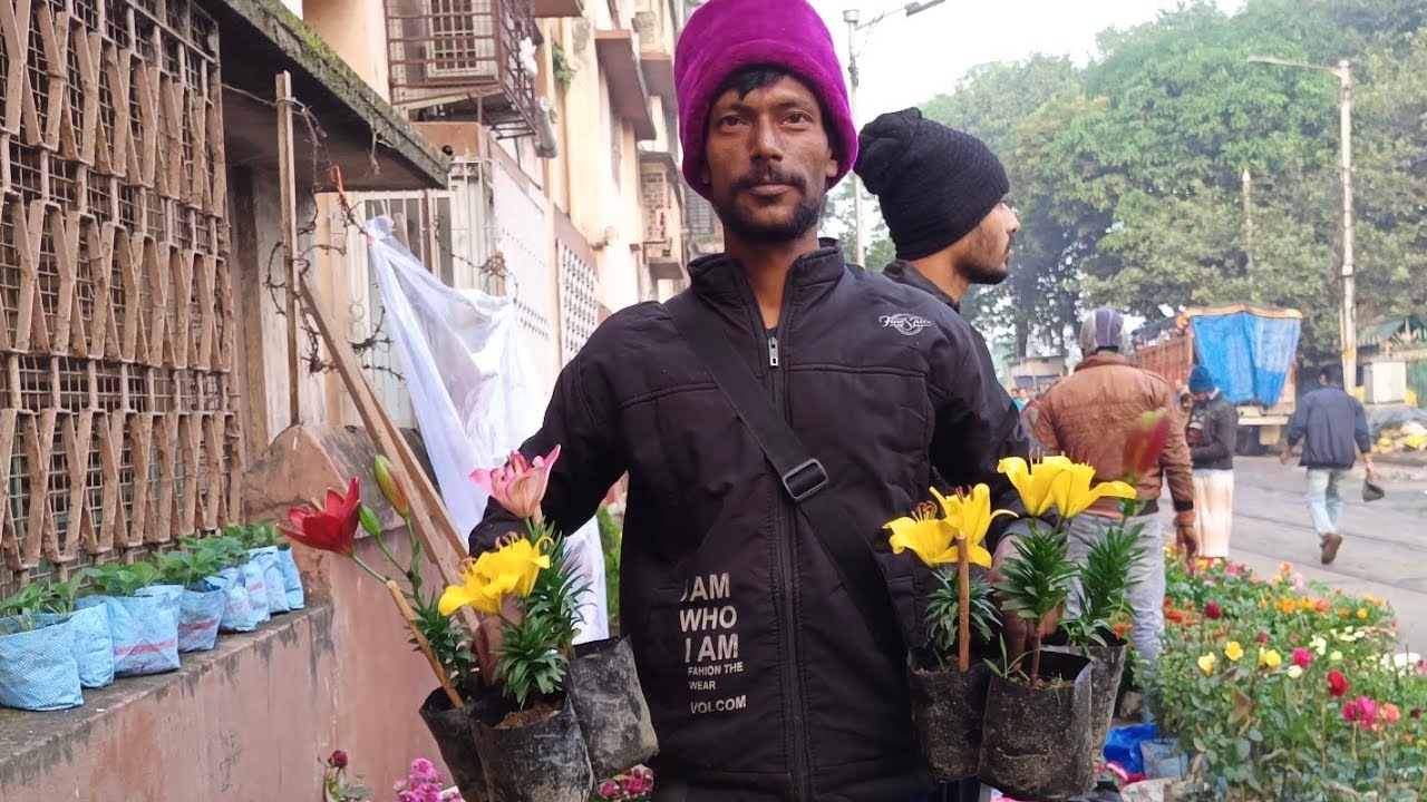 22 December Morning Galiff Street Flower Plants Market Price Update | Tala Haat