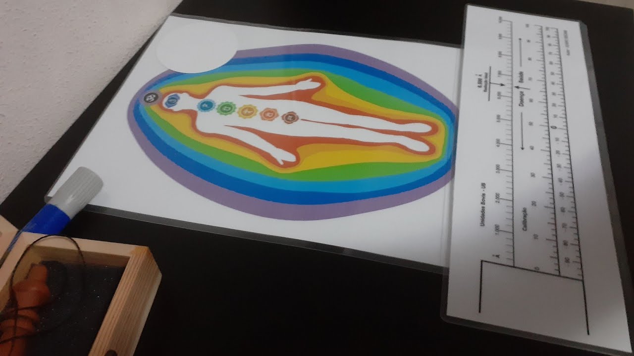 BIÔMETRO DE BOVIS - UTILIZAÇÃO PRÁTICA