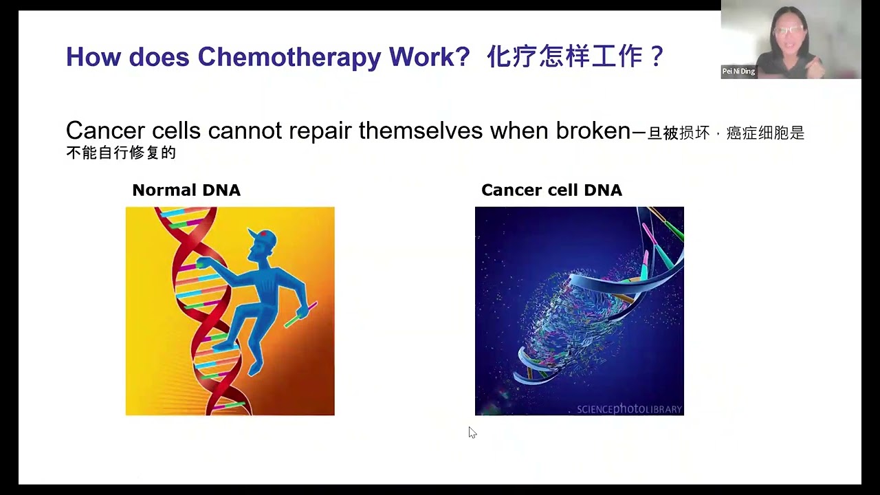 2024 05 抗癌科普讲座 - 肺癌的治疗