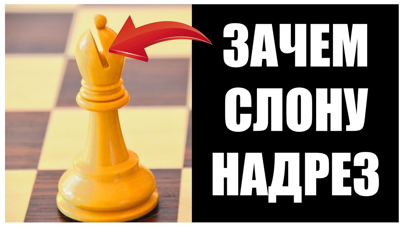 Шахматный СЛОН ХРАНИТ СЕКРЕТ Средневековья, о котором почти все молчат. Вот зачем ему надрез...
