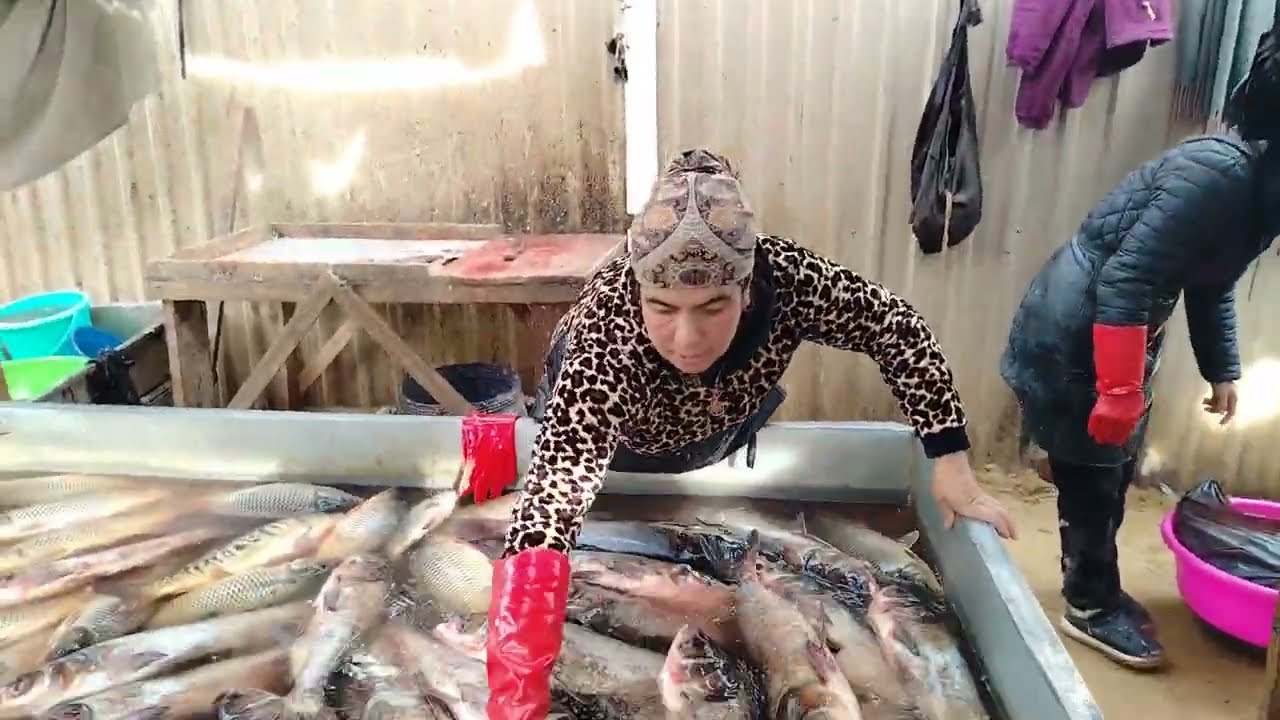 Xazorasp baliq bozori