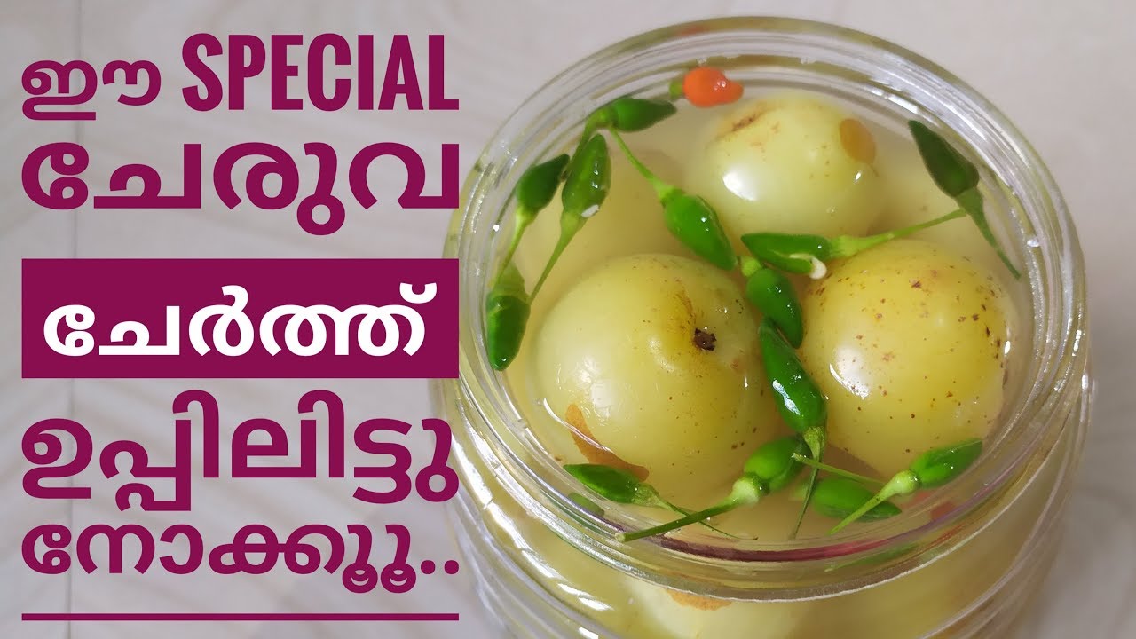 Nellikka uppilittathu/ നെല്ലിക്ക ഉപ്പിലിട്ടത്.. കടയിൽ നിന്നും കിട്ടുന്ന അതേ ടേസ്റ്റിൽ😋😋😋😋