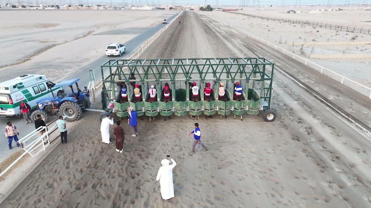 الاجتماع الخامس الشوط الخامس الجواد مبشر لاسطبل الحيان