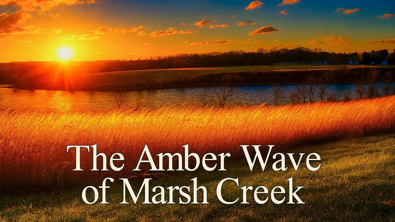 The Amber Wave of Marsh Creek