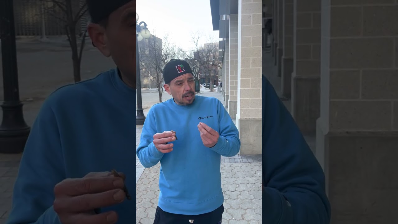 Mandarin Cookies by Tremblant Cannabis | #quebec | College Market | 3.5G Flower | Review | Earring