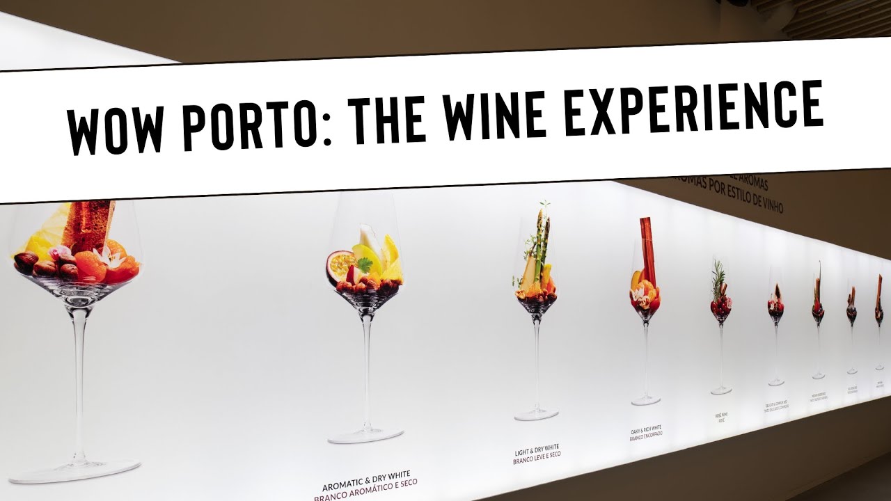 The Greatest Wine Museum | The Wine Experience | WOW Porto | Planet Cork | Pink Palace