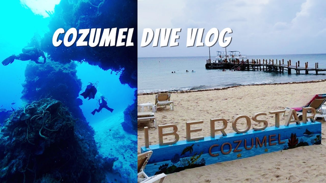 Cozumel Dive Vlog 🇲🇽 | All-Inclusive Stay at Iberostar Resort