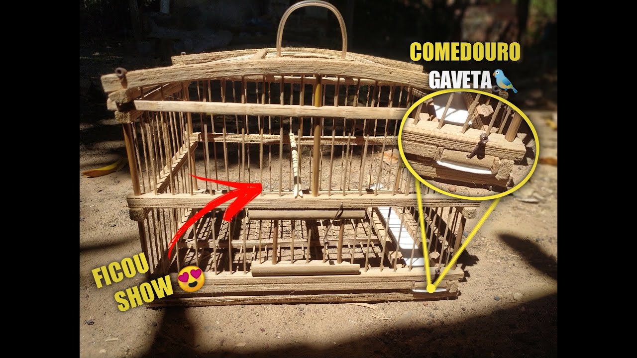 GAIOLA CAMPEADEIRA DE TALO DE COCO BABAÇU, FINAL -#2