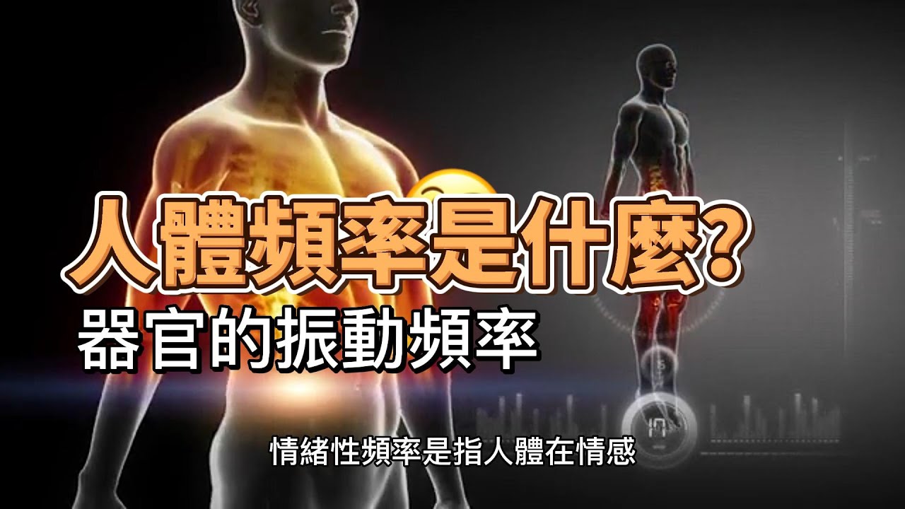 人體各種器官的共振頻率,人體的頻率是什麼？|神秘大探索
