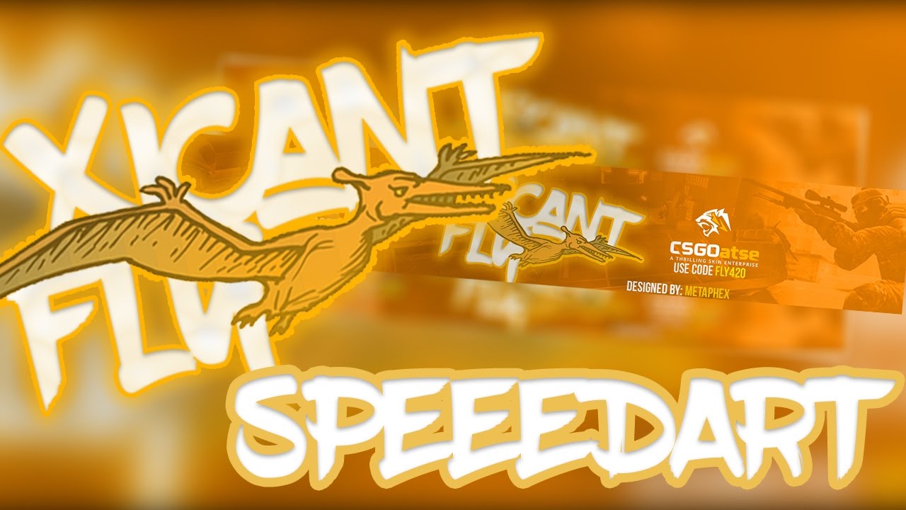 xICant Fly Banner Speedart by MeTaPhEx