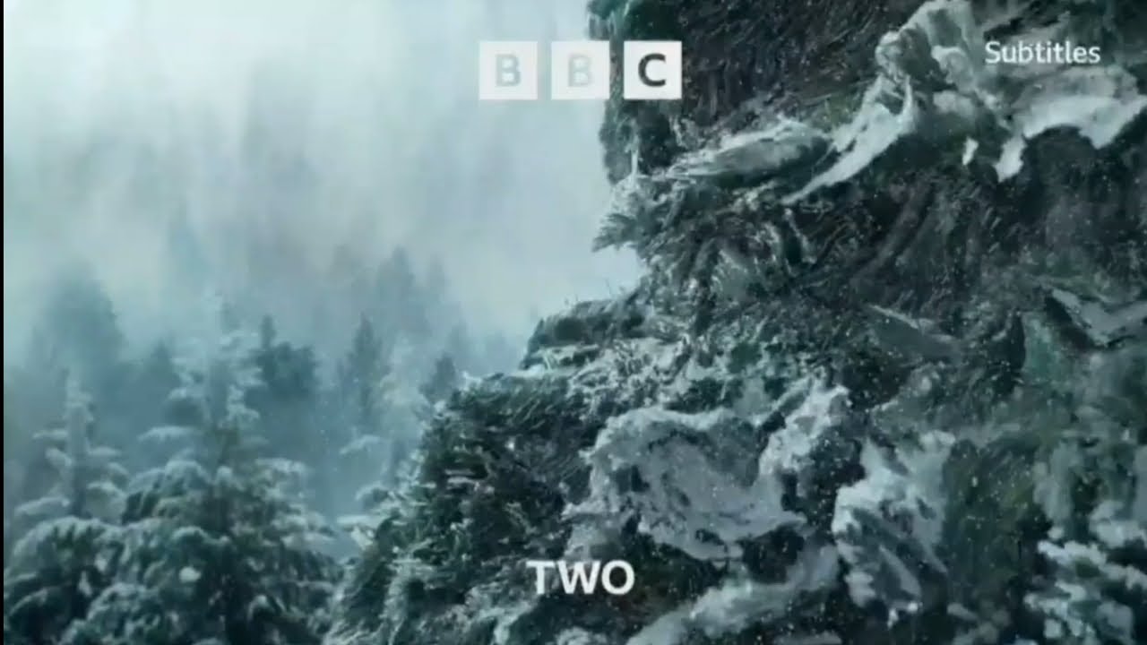BBC TWO (UK) Continuity | 27th December 2022