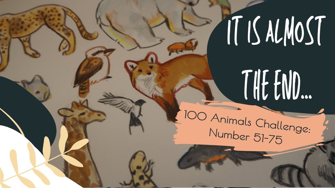 51-75! Nearing the end now... 100 Animals Challenge.