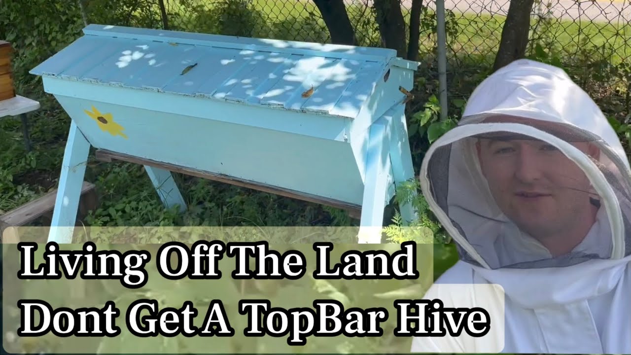 Стоит ли покупать Top-Bar Hive? Мой честный обзор по сравнению с Langstroth.
