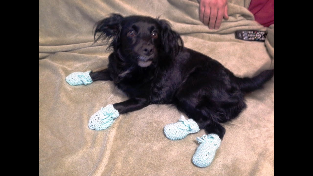 Sapatinhos de Tricot para Pet