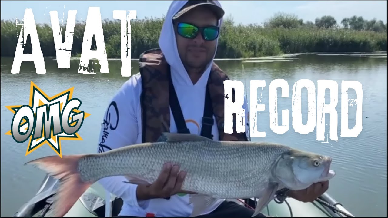 Pescuit la Avat record personal 4,5 kg,bonus bibani🐟🐟🎣🎣🎣🔥