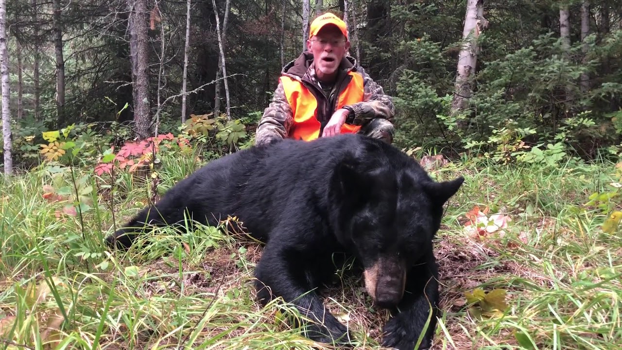 Larry&rsquo;s Bear Hunt | Baldy Mountain Outfitters
