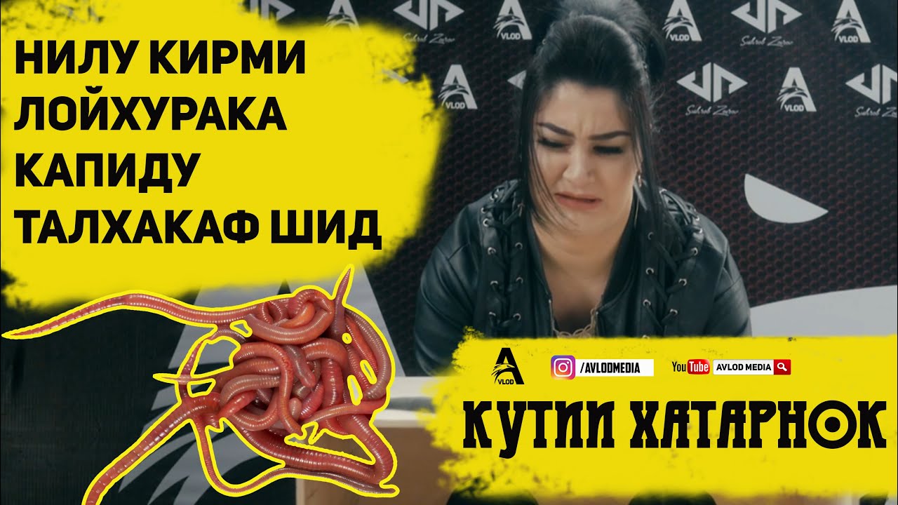 КУТИИ ХАТАРНОК #2 бо НИЛУФАР I КАЖЕТСЯ НАЩУПАЛ ПО ТАДЖИКСКИЙ (AVLOD MEDIA)