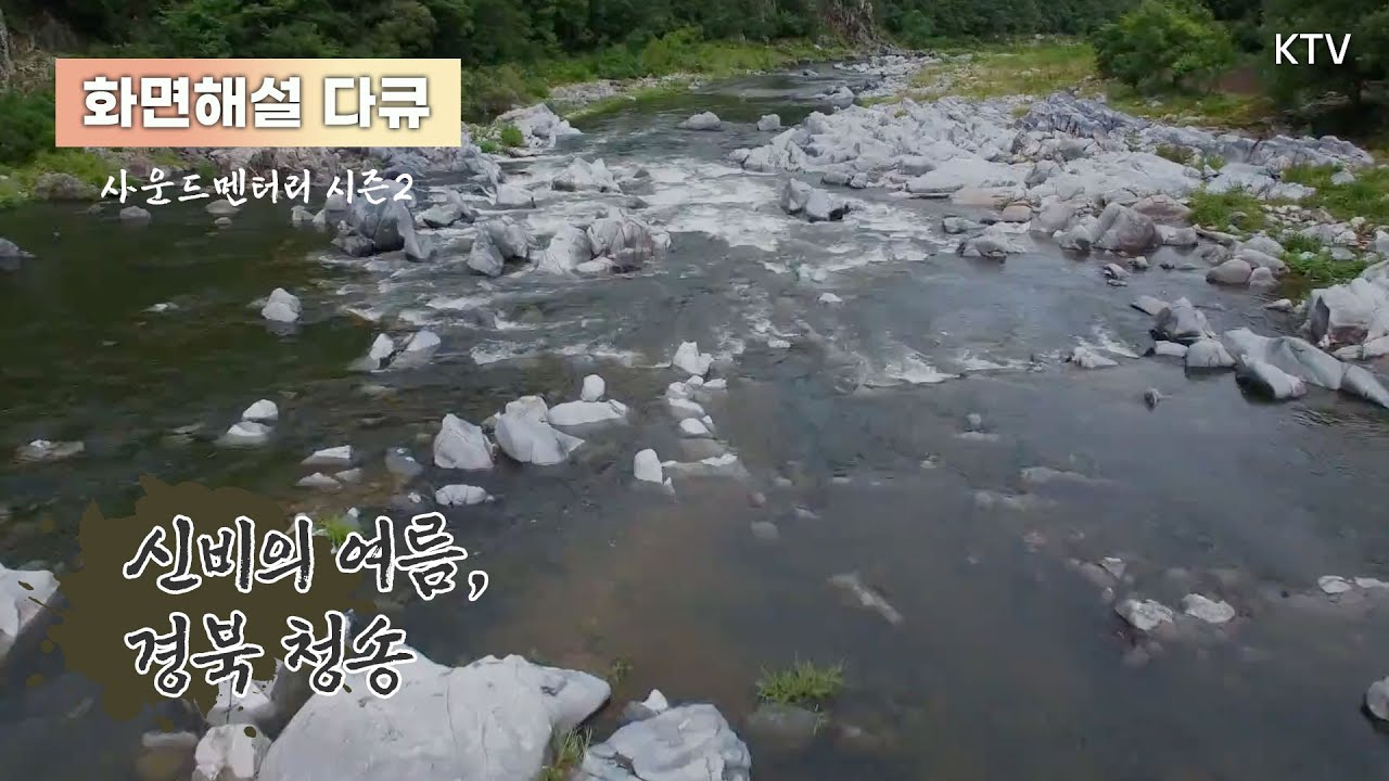 (화면해설) 사운드멘터리 풍경소리 시즌2 20회 신비의 여름, 경북 청송 #사운드멘터리 #다큐멘터리 #화면해설 #장애인 #장애인방송