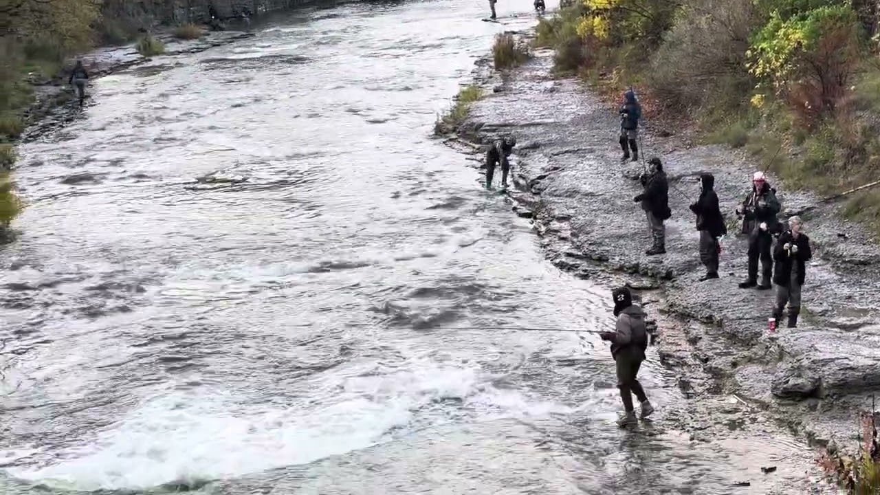 Lake Ontario steelheads fishing @PH. Oct22,25 #fishingtechniques #cohofishing #fishing #nature 