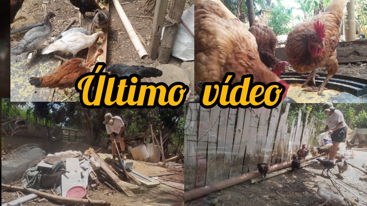Último vídeo do ano. 