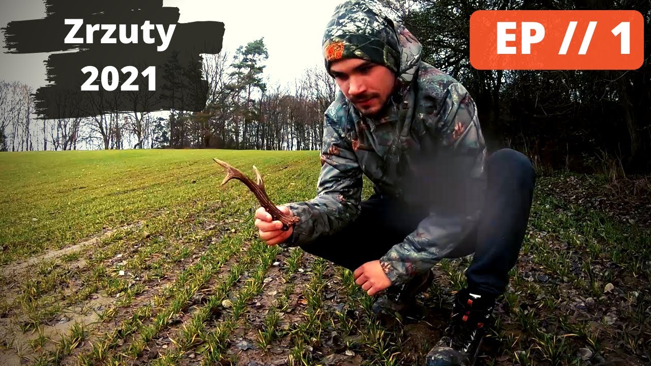 Pierwszy świeży parostek + 1 zeszłoroczny | Pora rozpocząć sezon | Zrzuty 2021 Shed hunting 2021 EP1