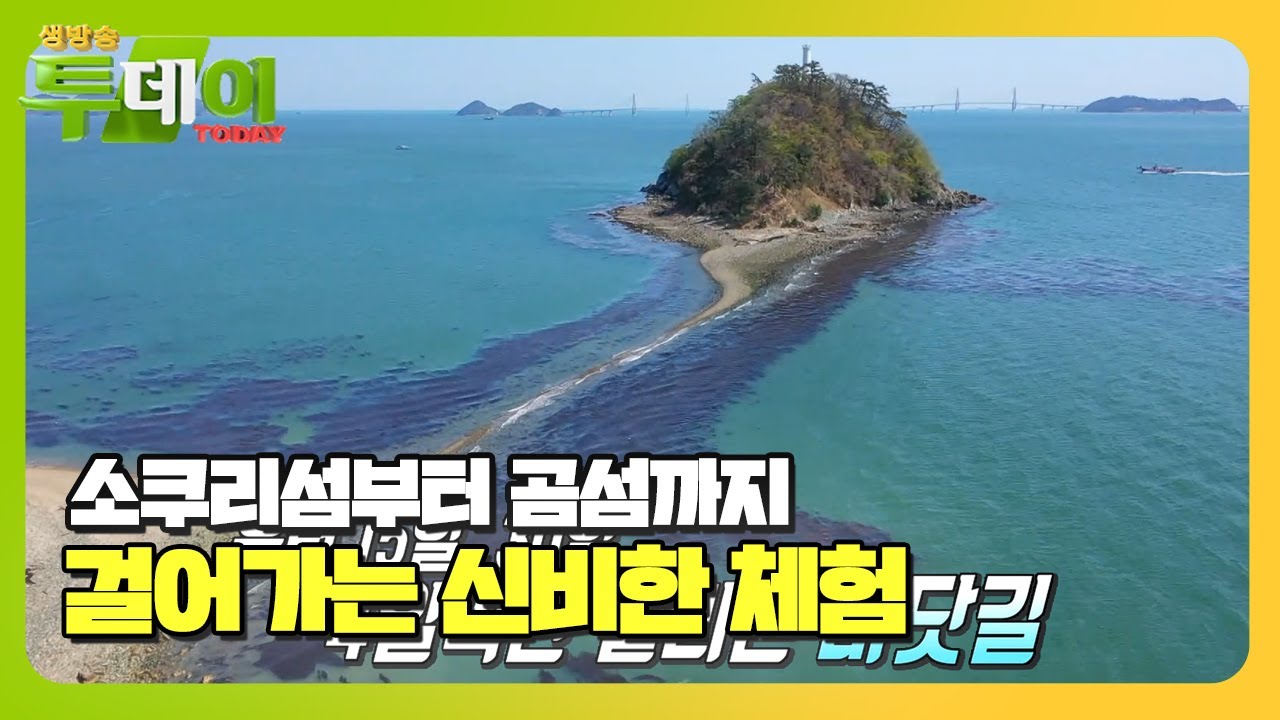 &lsquo;보물섬 탐험&rsquo; 창원 소쿠리섬에 생기는 신비한 바닷길! #생방송투데이 #LiveToday #SBSstory
