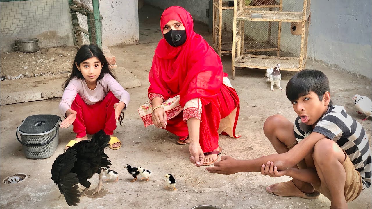 Main or meri murghi kay chuzay 😍