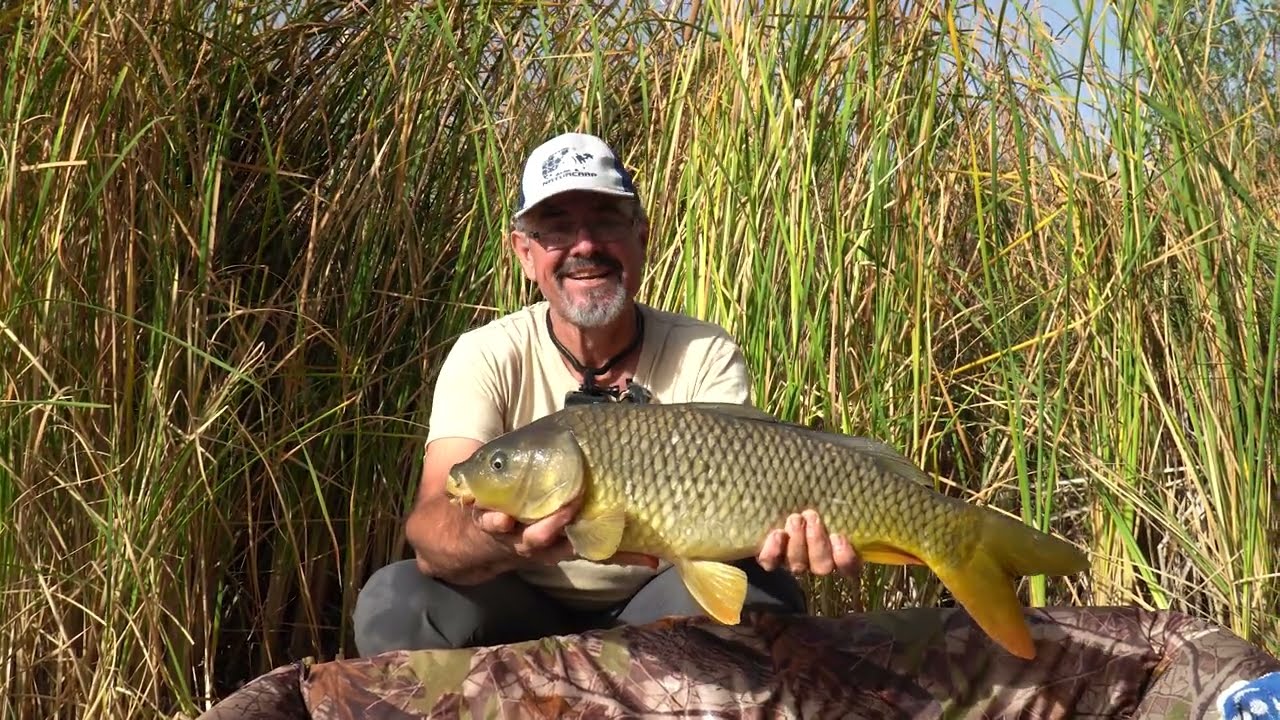 FEEDER ENTRE ANEAS EN SIERRA MORENA