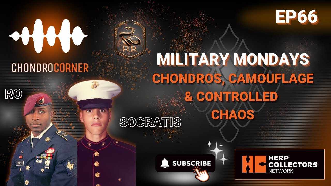 EP66 – Military Mondays: Chondros, Camouflage & Controlled Chaos