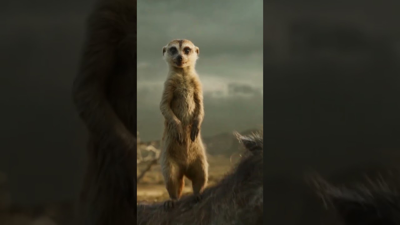 Timon & Pumbaa Funny Scene from The Lion King helping Simba (Hindi).