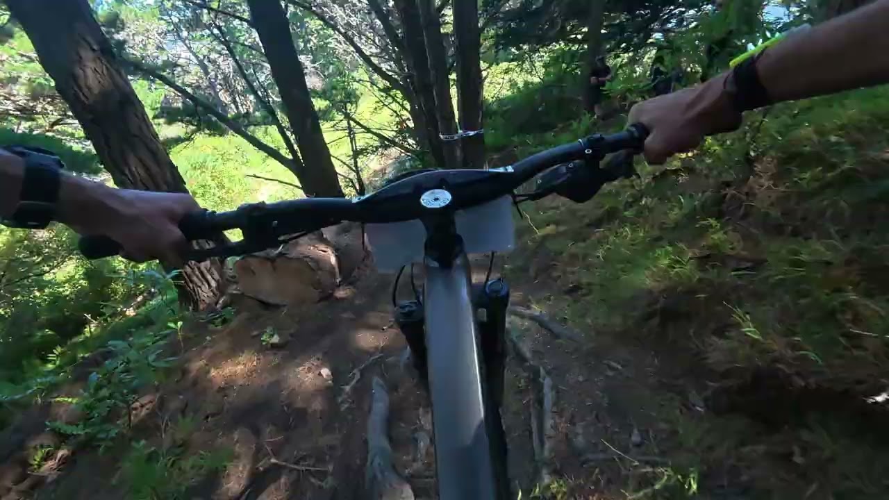 Mt Vic Enduro RACE RUN [RAWR] - Damiens