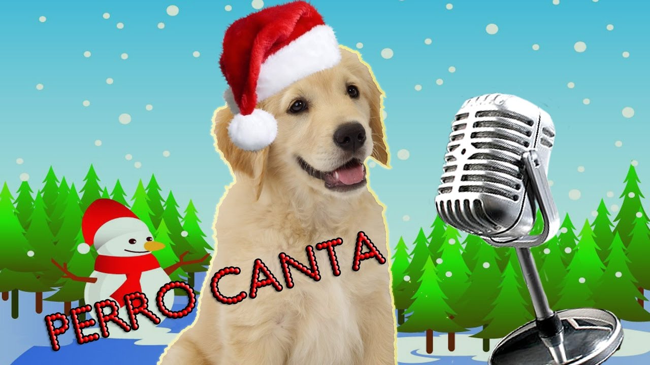 CACHORRO CANTANDO NAVIDAD (jingle bells)