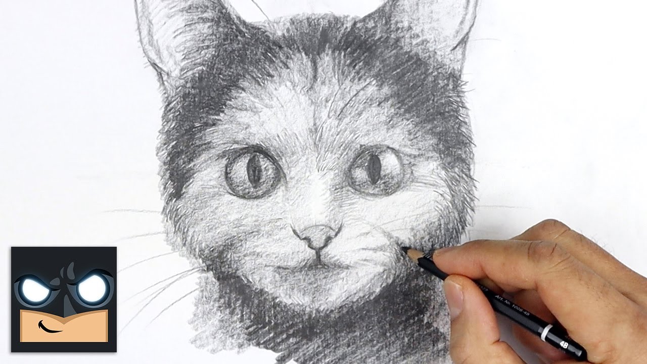 How To Draw a Cat | Sketch Tutorial