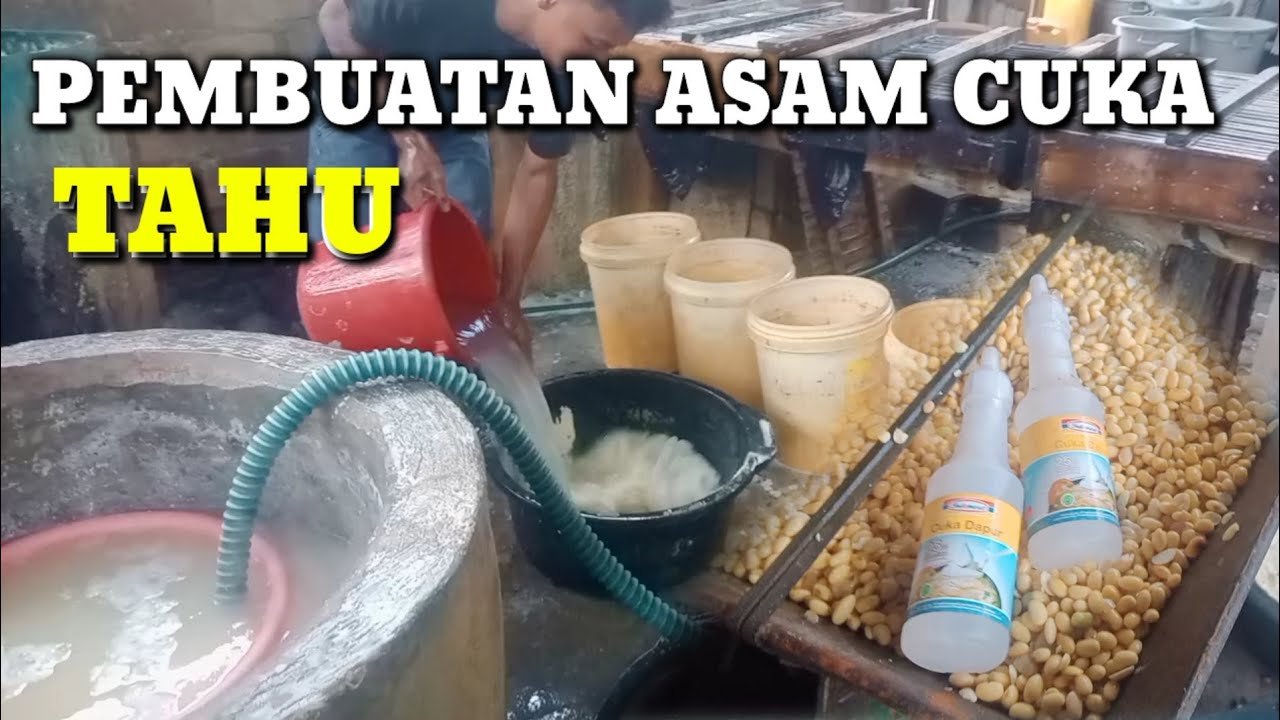 PEMBUATAN CUKA TAHU UNTUK PERTAMA KALINYA