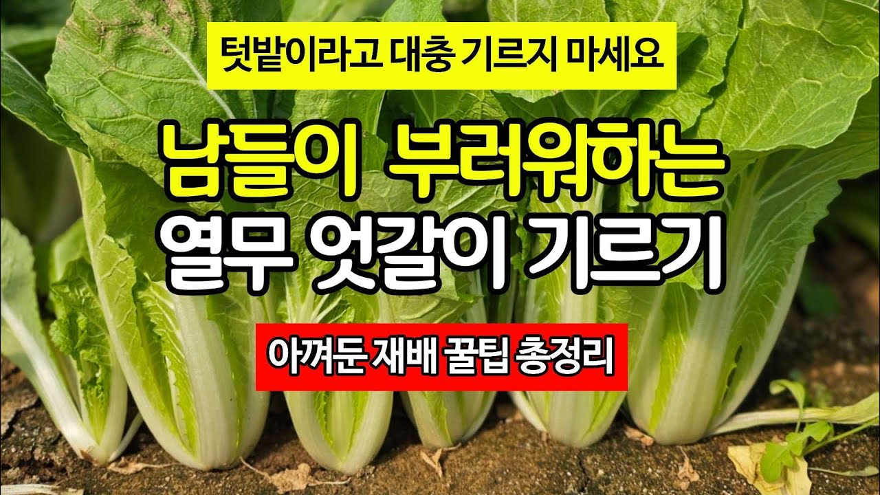 남들이 부러워하는 열무 엇갈이 재배 끌팁 총정리 - 텃밭이라고 작고 못나게 기르지 마세요