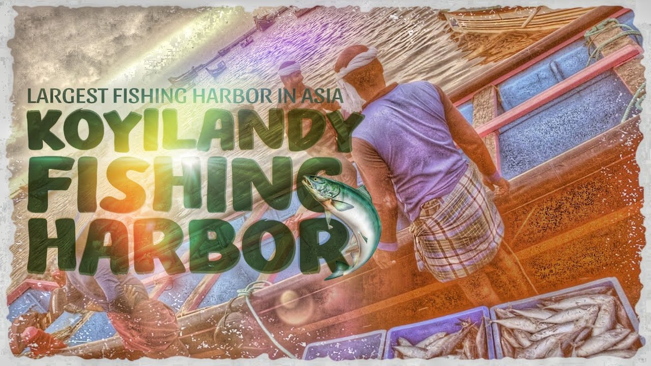 Koyilandy Harbor | Asia's largest fishing Harbor | Sanoop thanu | Kozhikode