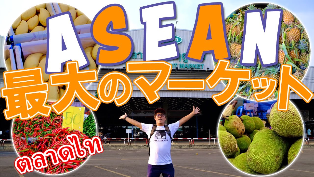 【ASEAN最大】東京ドーム18.5個分の市場が半端じゃねぇ！！ตลาดไท　จังหวัดปทุมธานี