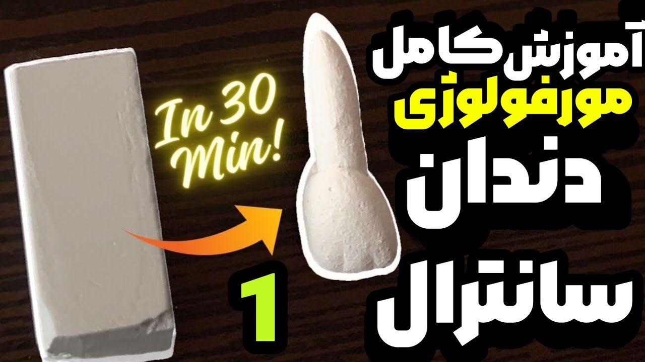 آناتومی دندان سانترال بالا| مورفولوژی دندان سانترال بالا carving of maxillary central incisor