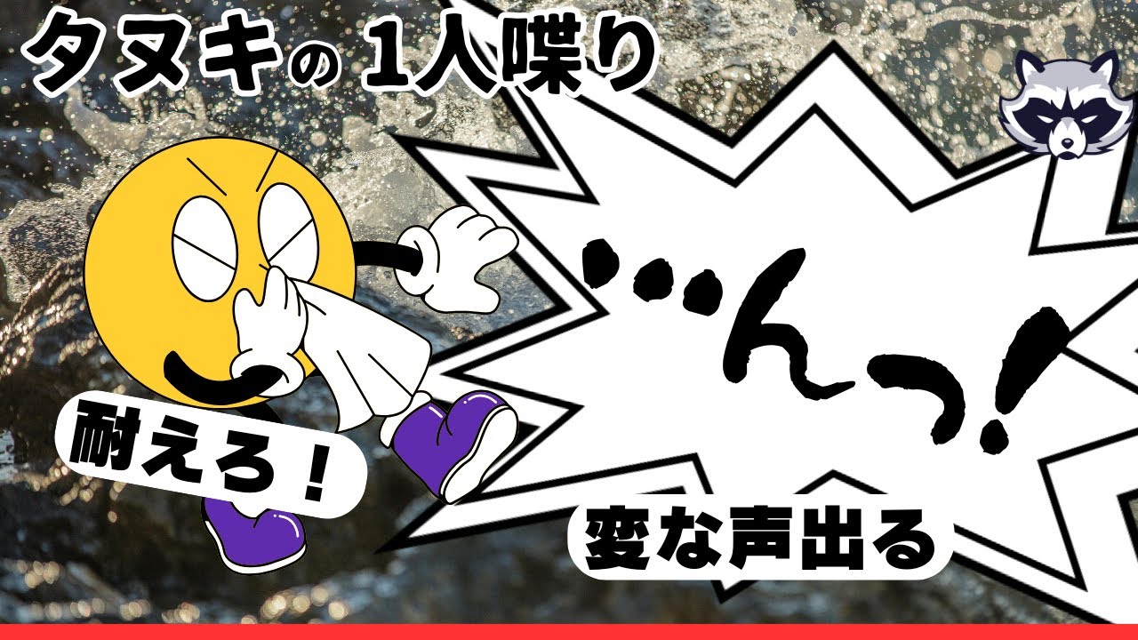 【タヌキ1人喋り】くしゃみ耐えで変人確定