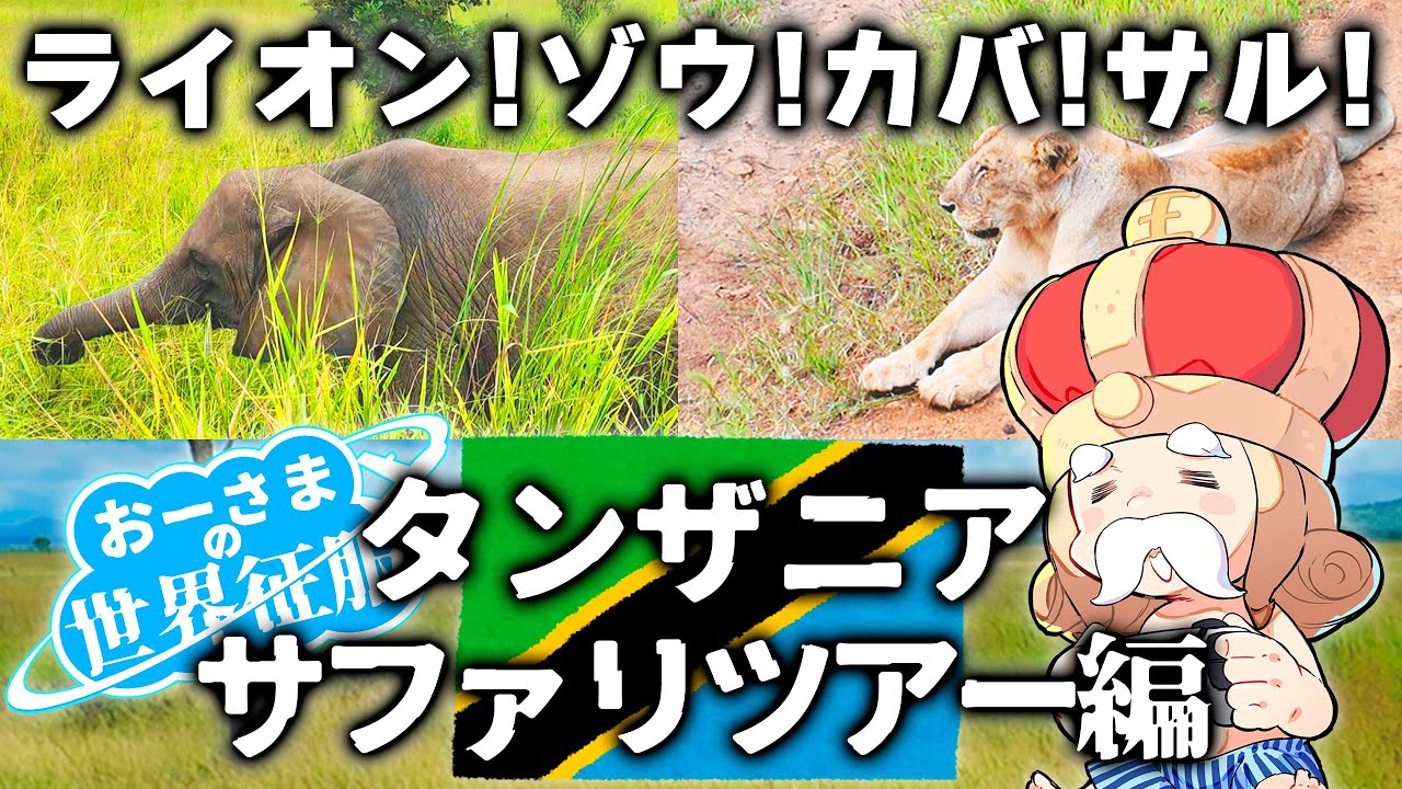 【タンザニア】ライオンとゾウに会いたい！日帰りサファリツアー【ミクミ国立公園 】