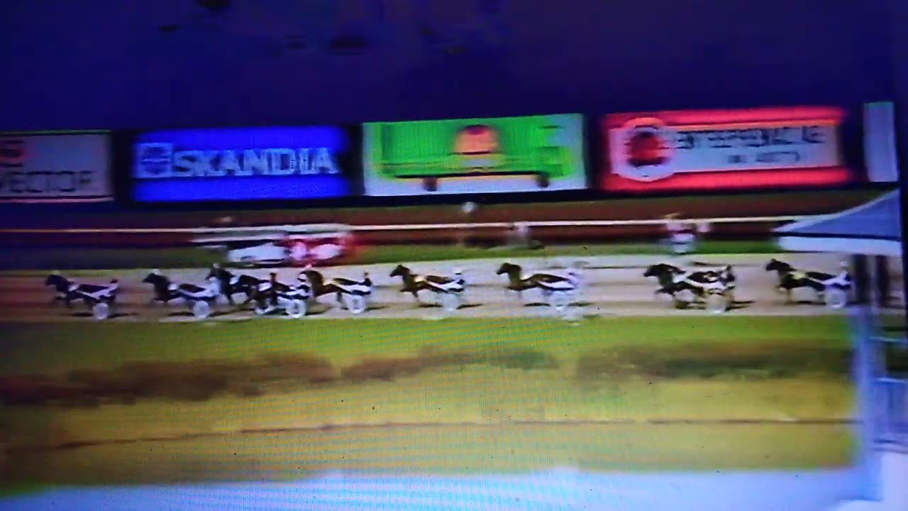 Svenskt Trav  Derby 1990 vinnare Queen L