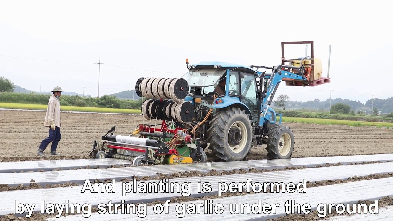 Kang Nong's Garlic Planter  - Innovative way of Garlic Planting
