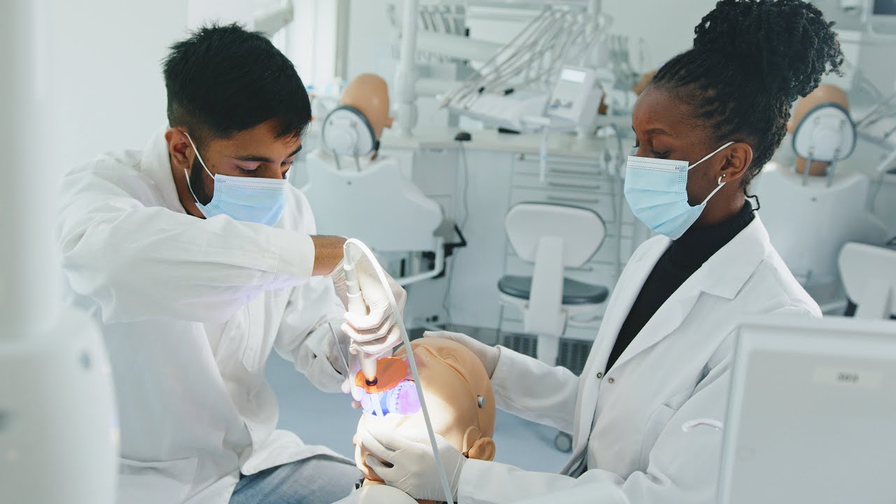University of Pécs Medical School - Dentistry Program
