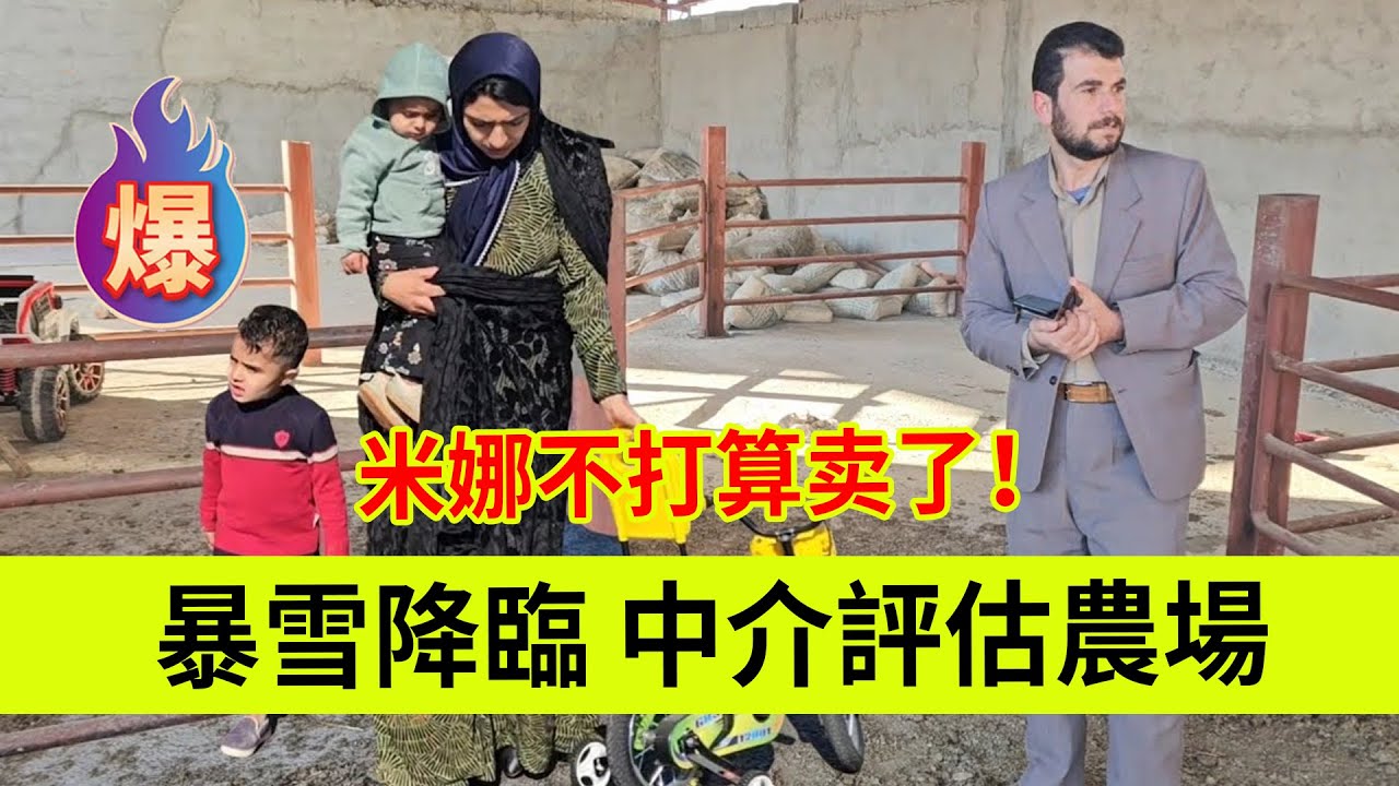 暴雪降临米娜不打算卖了！伊朗女人米娜纪录片最新后续