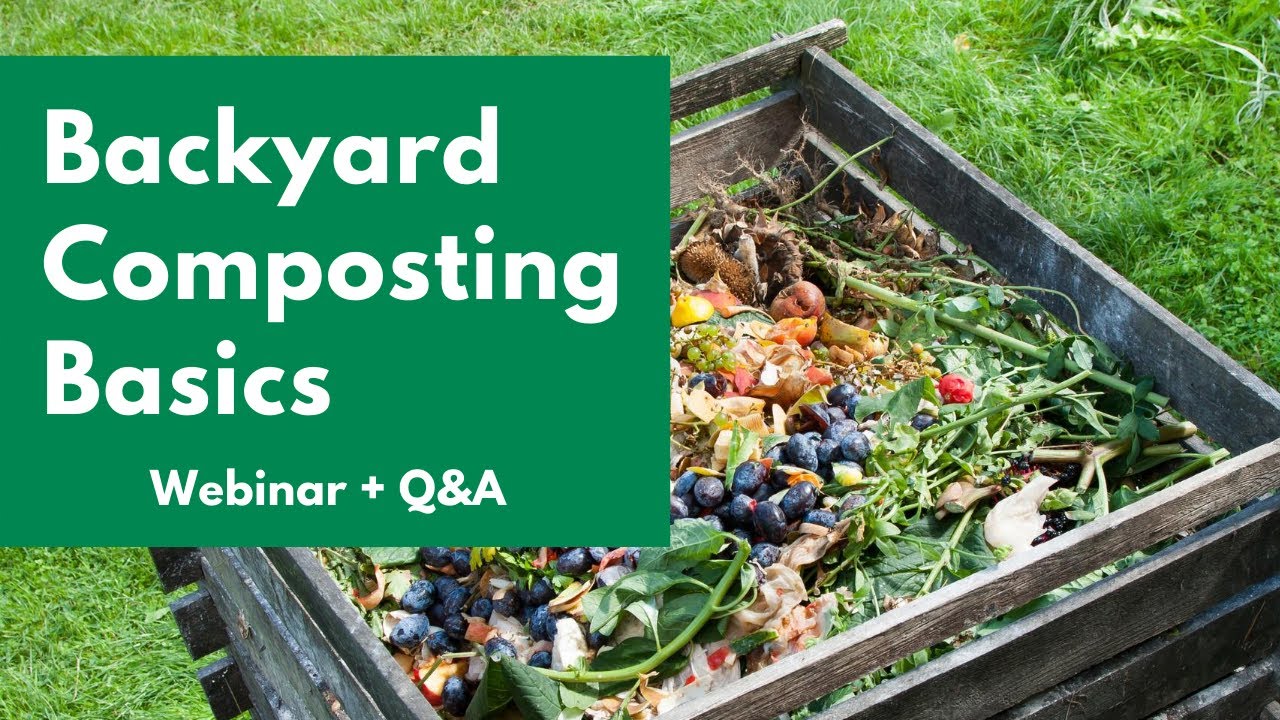 Compost Basics: a free CVSWMD Webinar