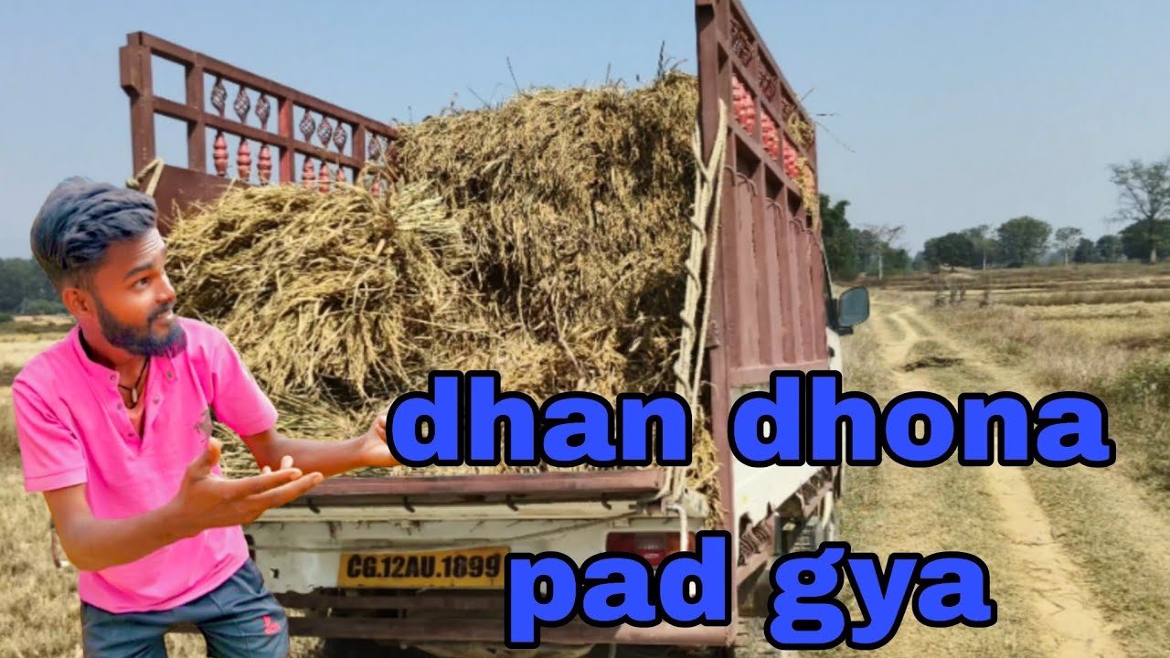 Gaon me dhan dhhona pad gya || bahut mehnat Krna pda