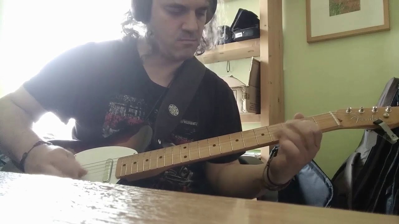 socrates drank the conium-straydogs(guitar cover)